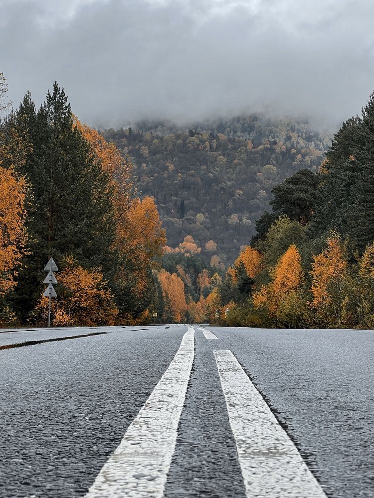 Photograph by Дольников Евгений