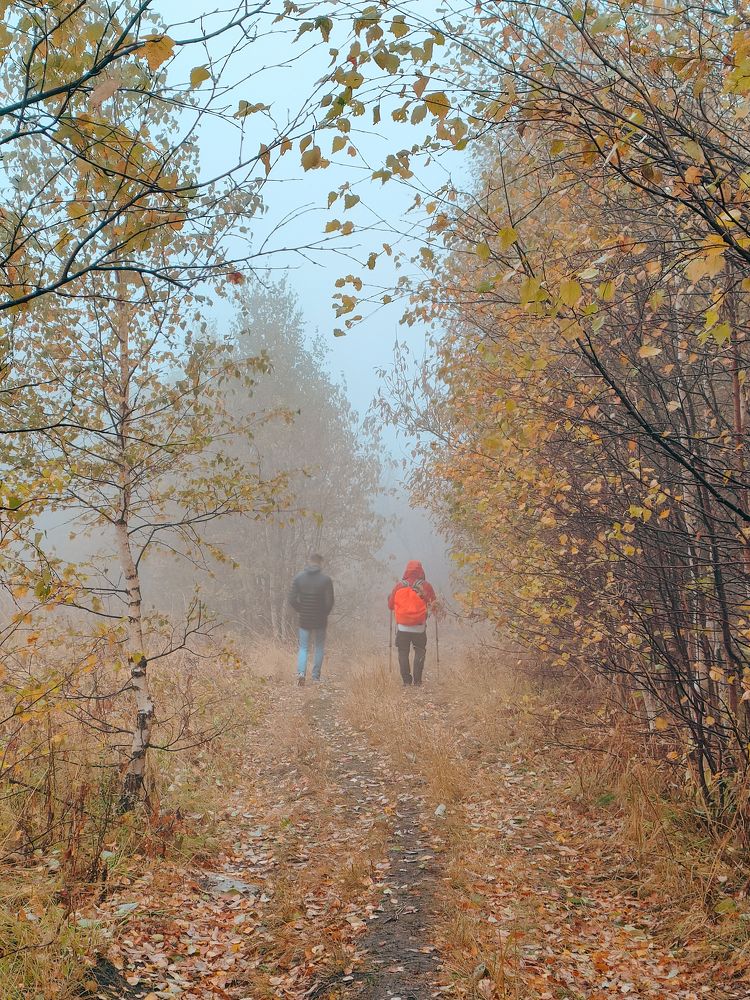 Photograph by Дольников Евгений
