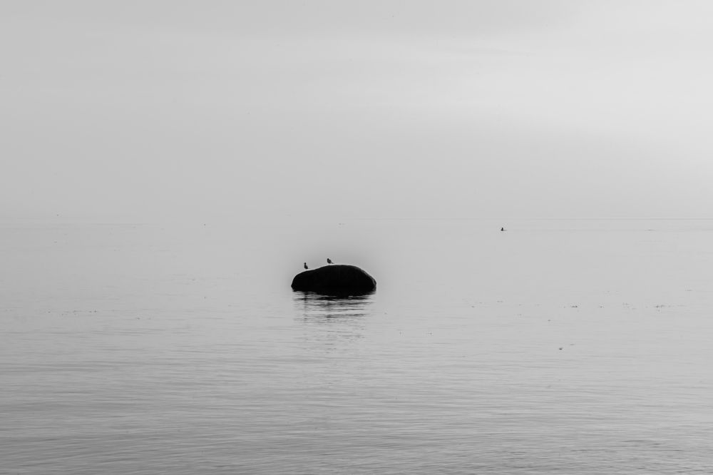 Photograph by Юлия Паршакова