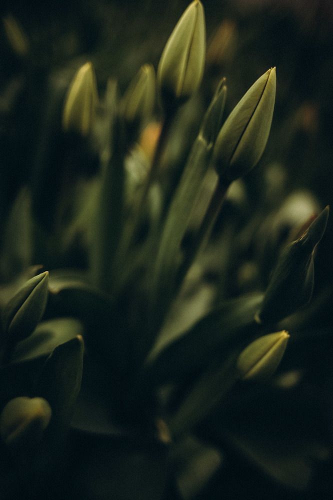 Photograph by Алевтина Горбаненко