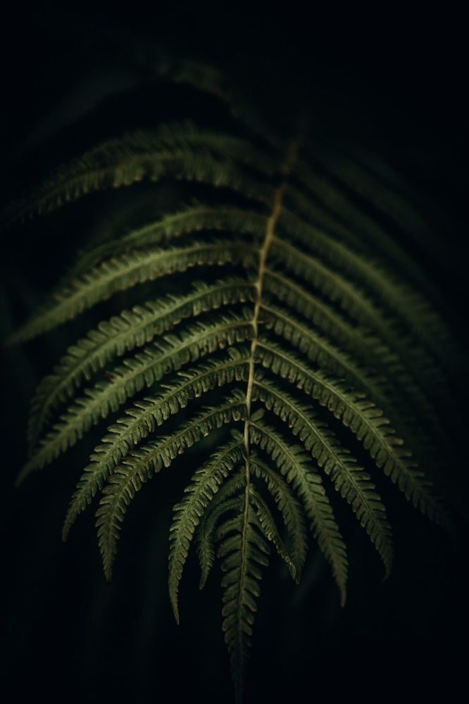 Photograph by Алевтина Горбаненко