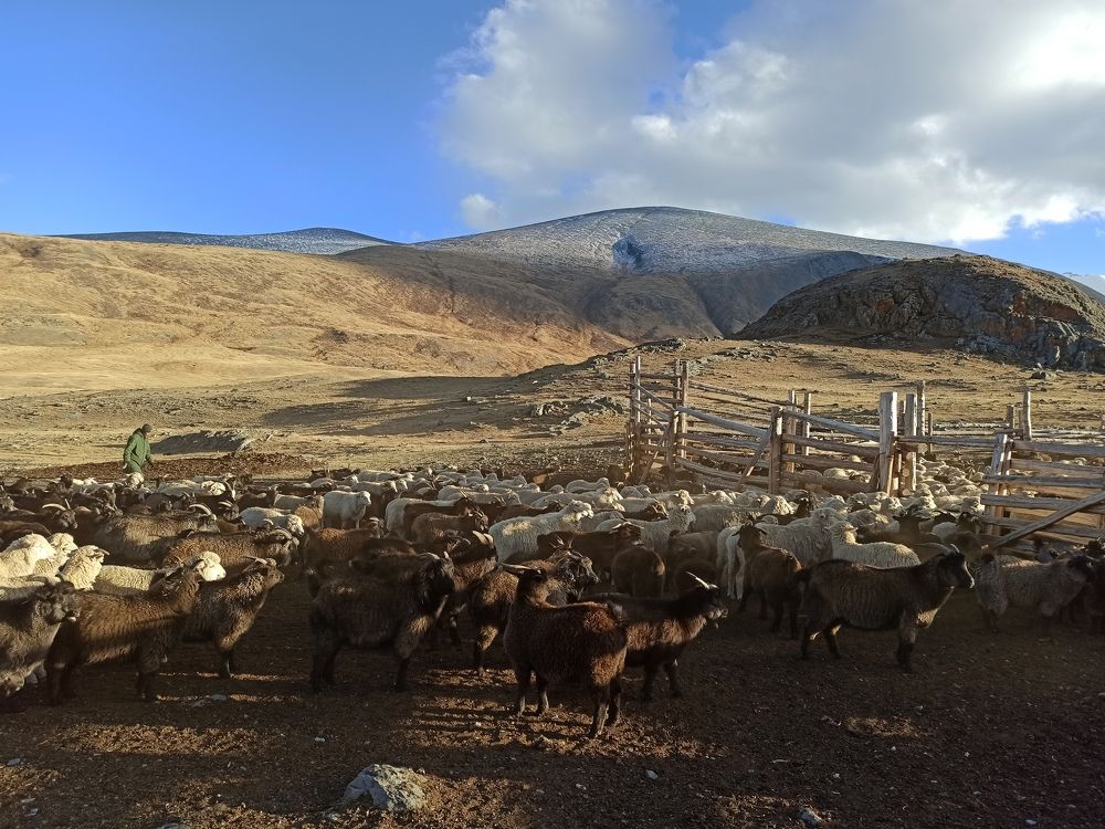 Photograph by Людмила Фурсова