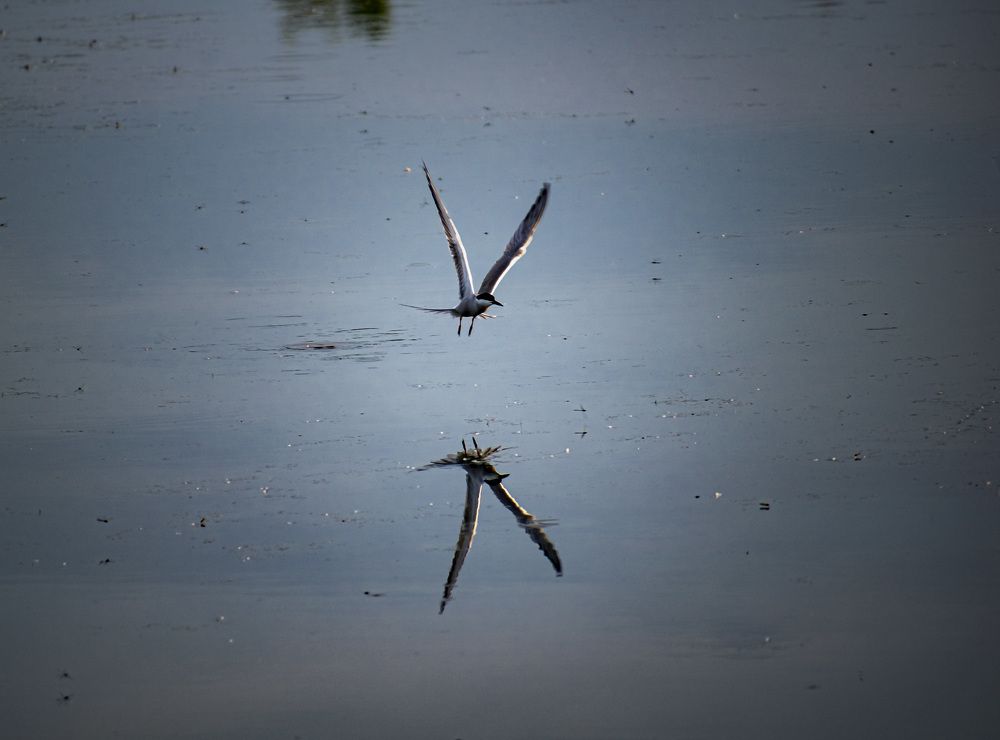 Photograph by Irina Luidinshina