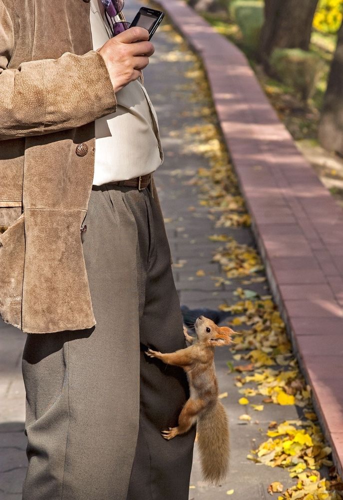 Мужик, стой! Ты мне еще за вчерашнюю фотосессию три ореха должен!
