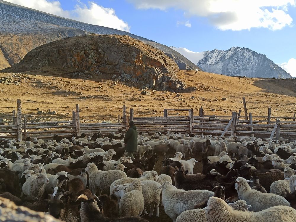 Photograph by Людмила Фурсова