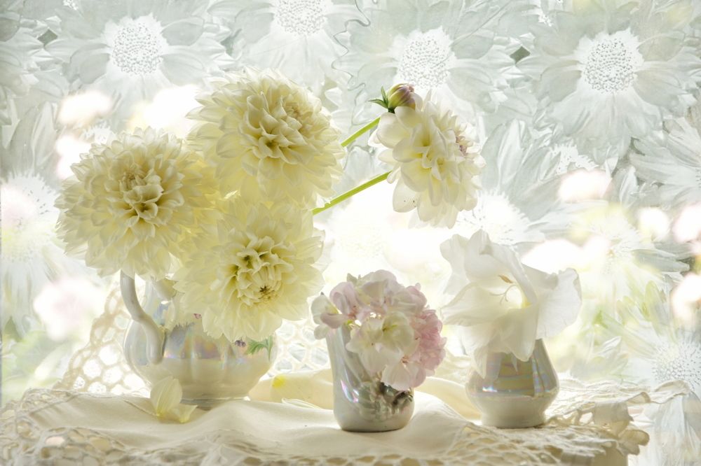 Photograph by Ирина Алексеева