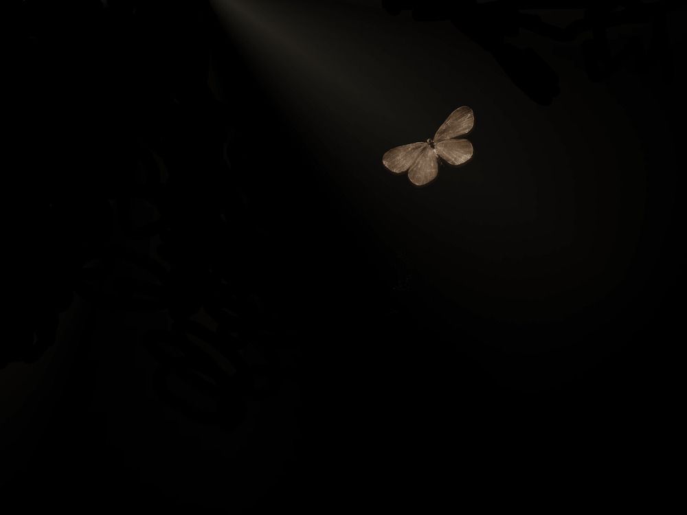 Photograph by Александр Поздняков