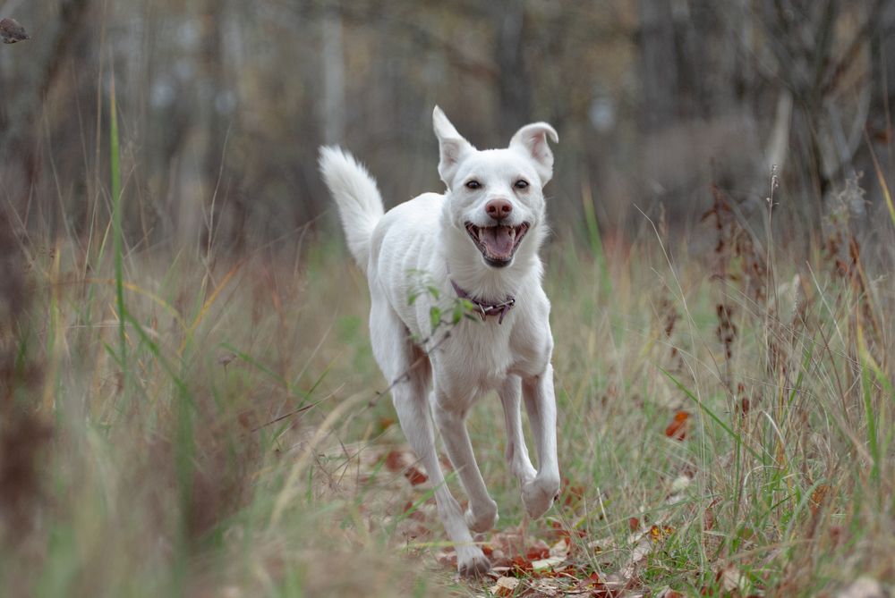 Photograph by Едынак Евгений