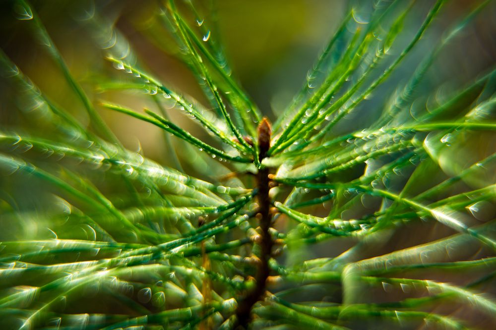 Photograph by Андрей Лебедев