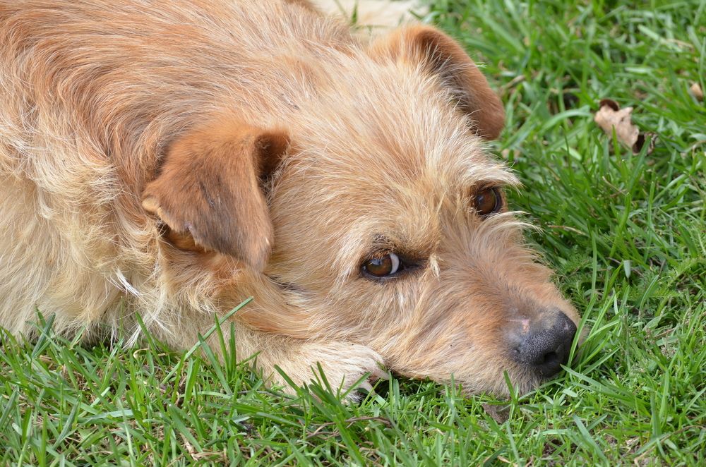 Photograph by Семен Батов