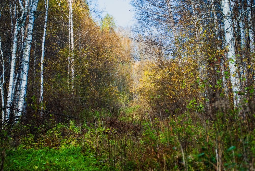 Photograph by Едынак Евгений