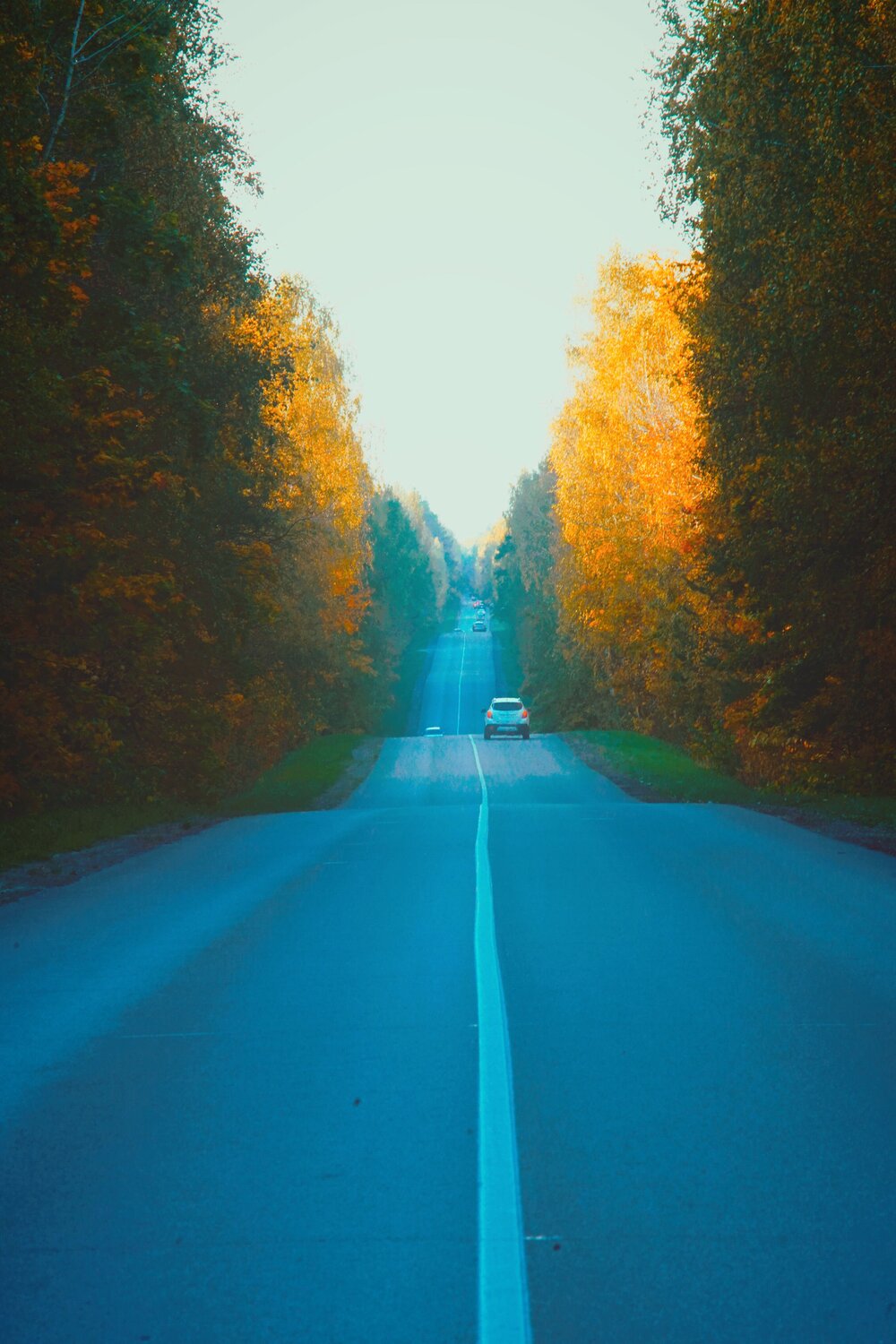 Photo #9671910