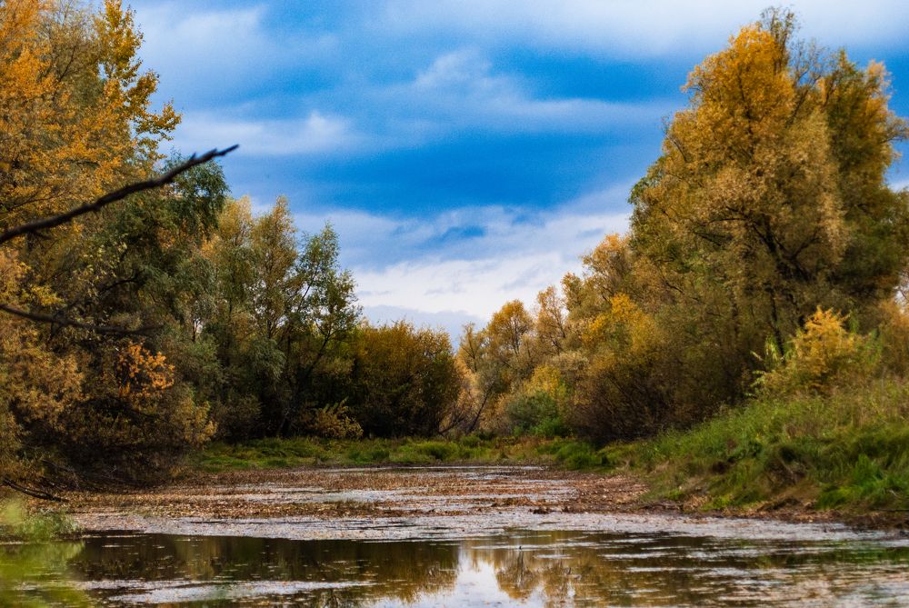 Photograph by Едынак Евгений