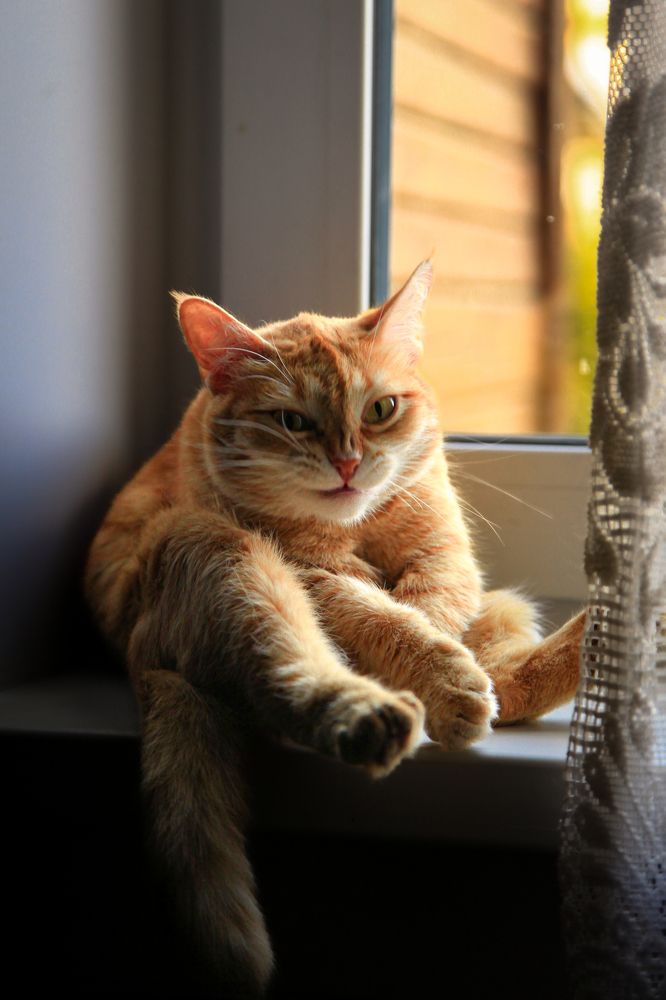 Ahhh, chingada madre!