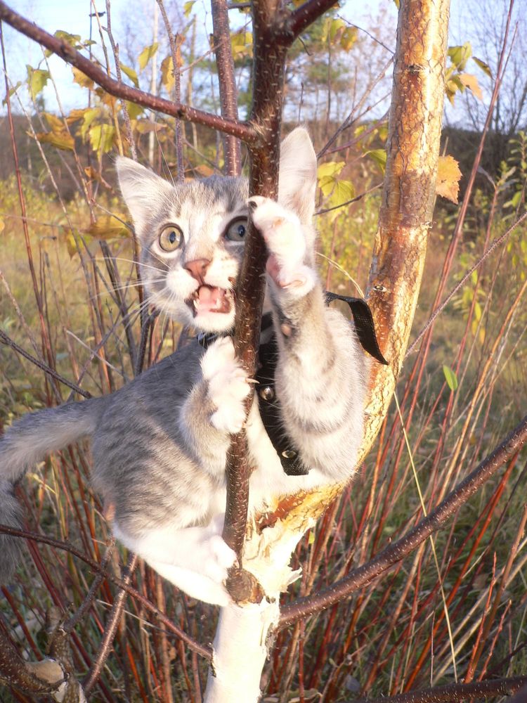 Photograph by Екатерина Хозяшева