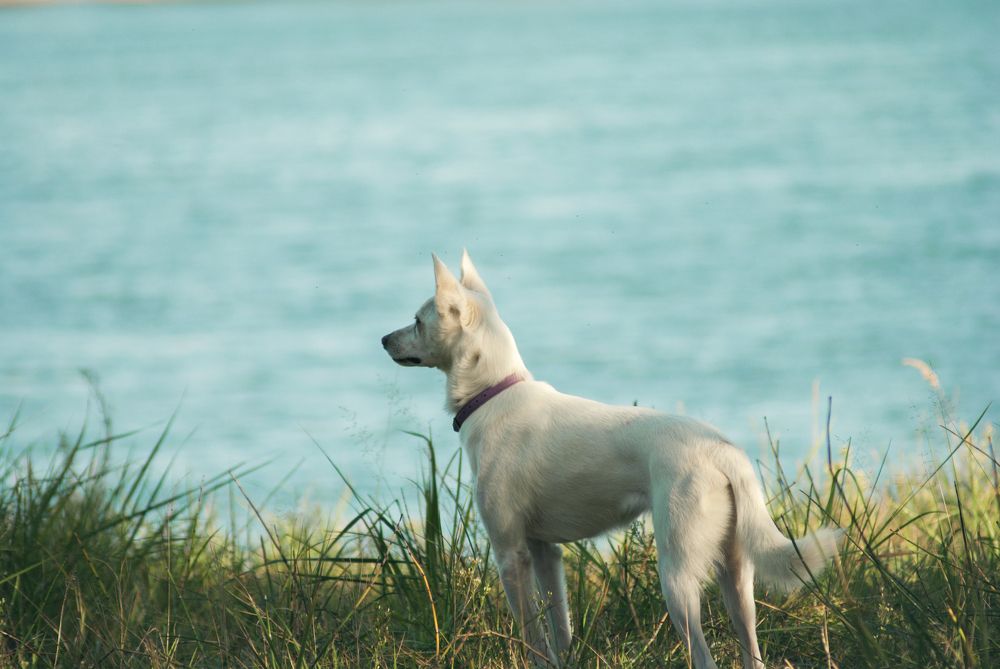 Photograph by Едынак Евгений