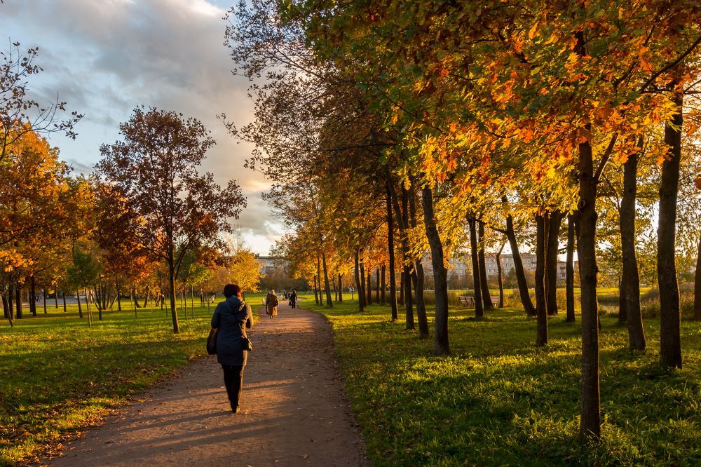 Photograph by Andrius