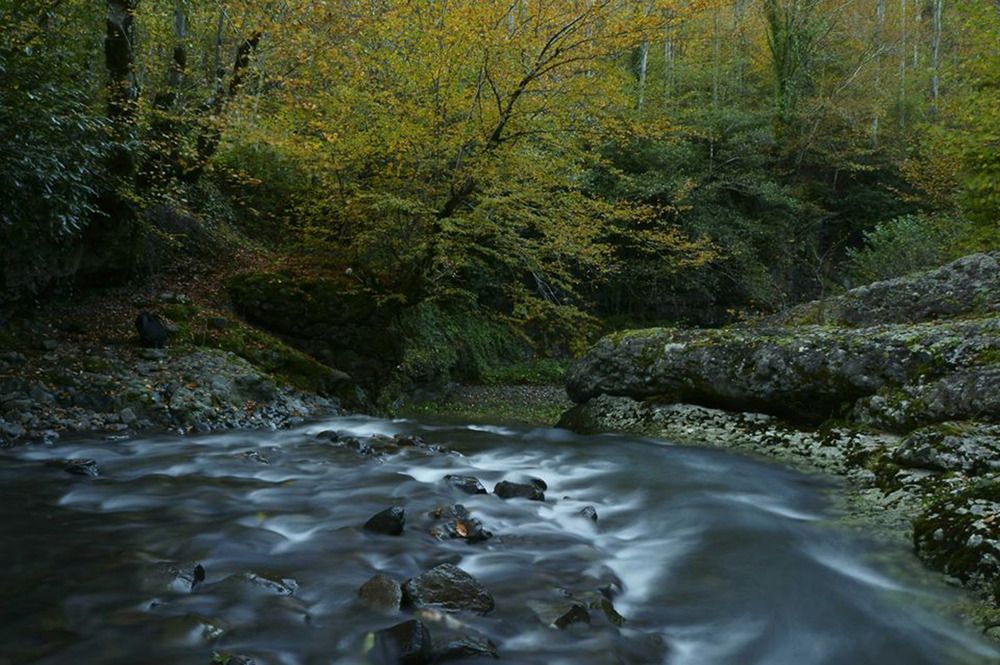 Фотография автора Ali VARILCI