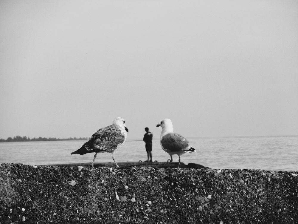 Photograph by Екатерина Салий