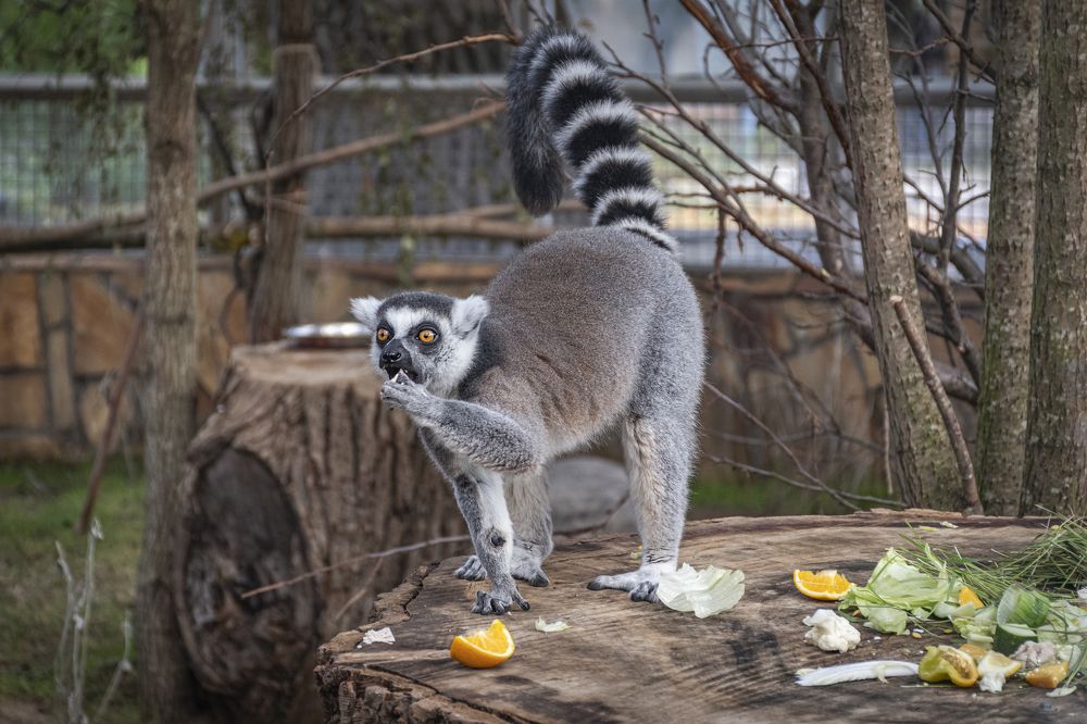 Photograph by Максим Сорокин