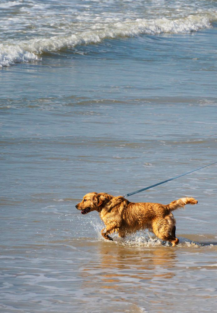 Photograph by Aleksandr Kolonsky