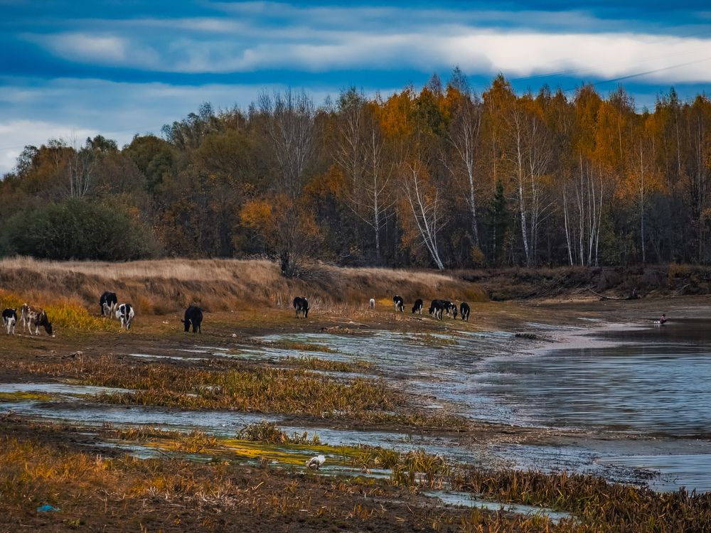 Photograph by Konstantin Martynov
