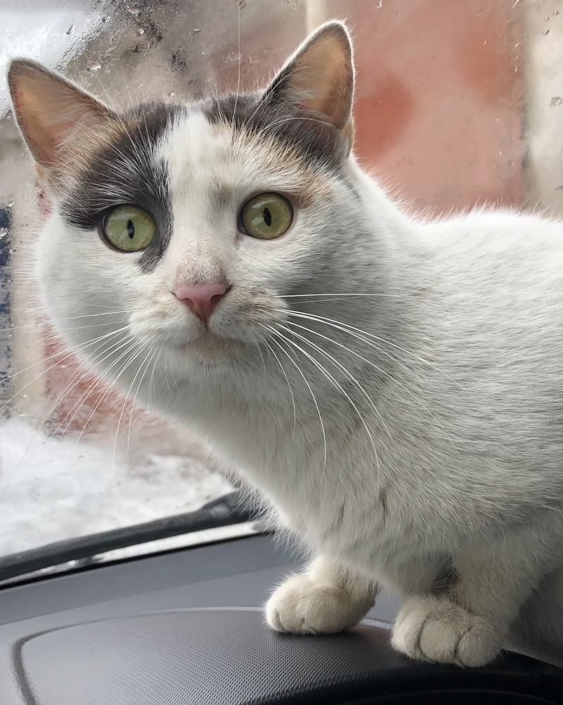 Photograph by Оксана