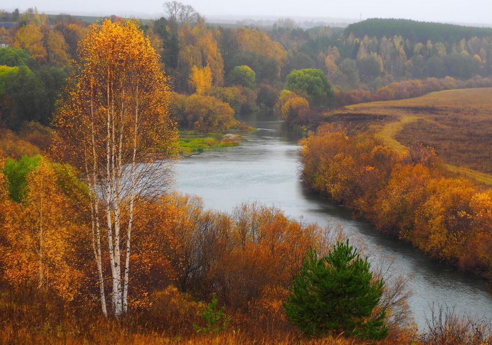 Осень на реке