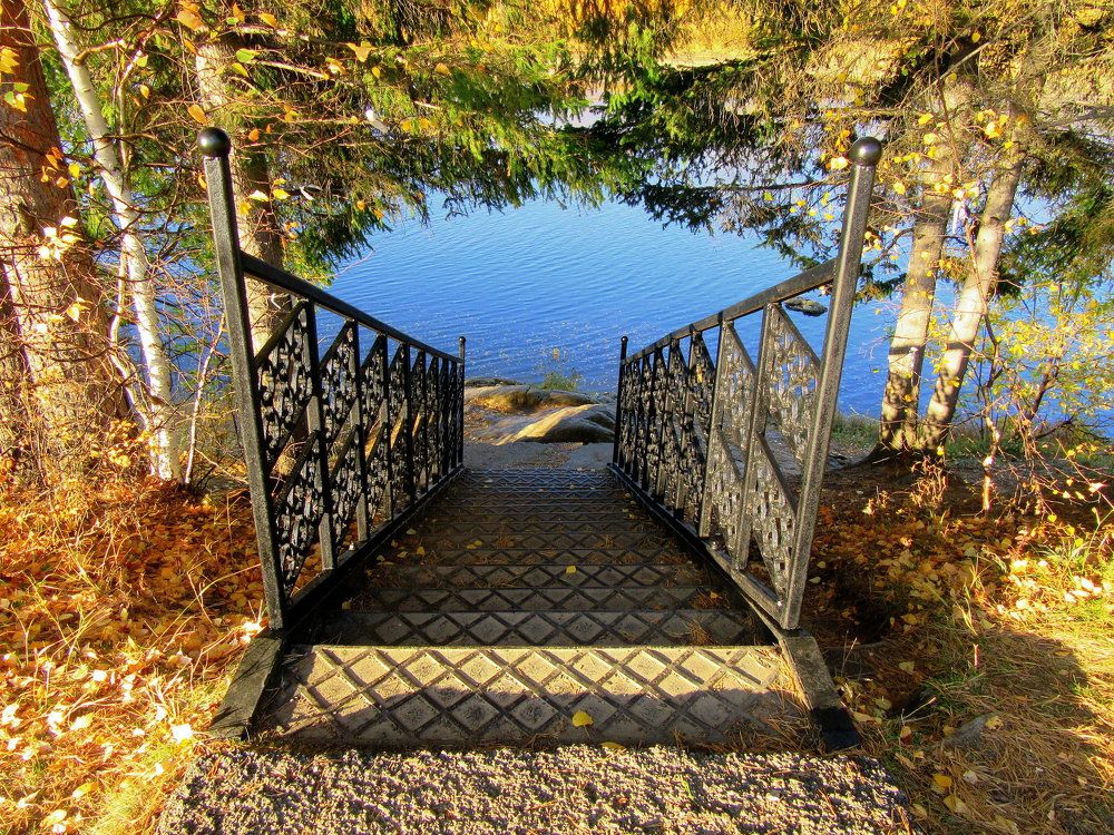 Photograph by Ирина Осипова