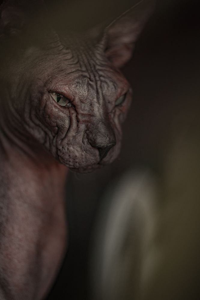 Photograph by Екатерина Мурсынина