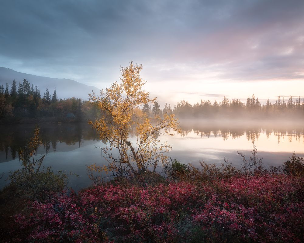 Photograph by Екатерина Сысоева