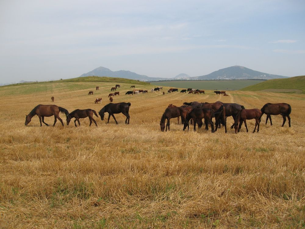 Photograph by Галина Воеводенко