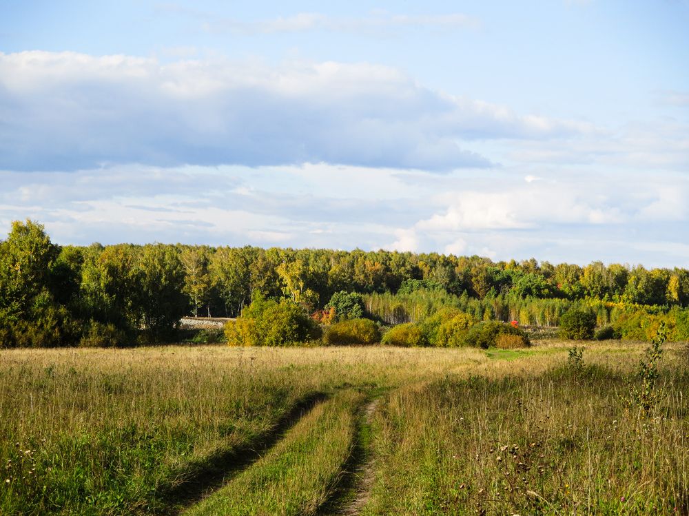 Photograph by Дарья Овсянникова