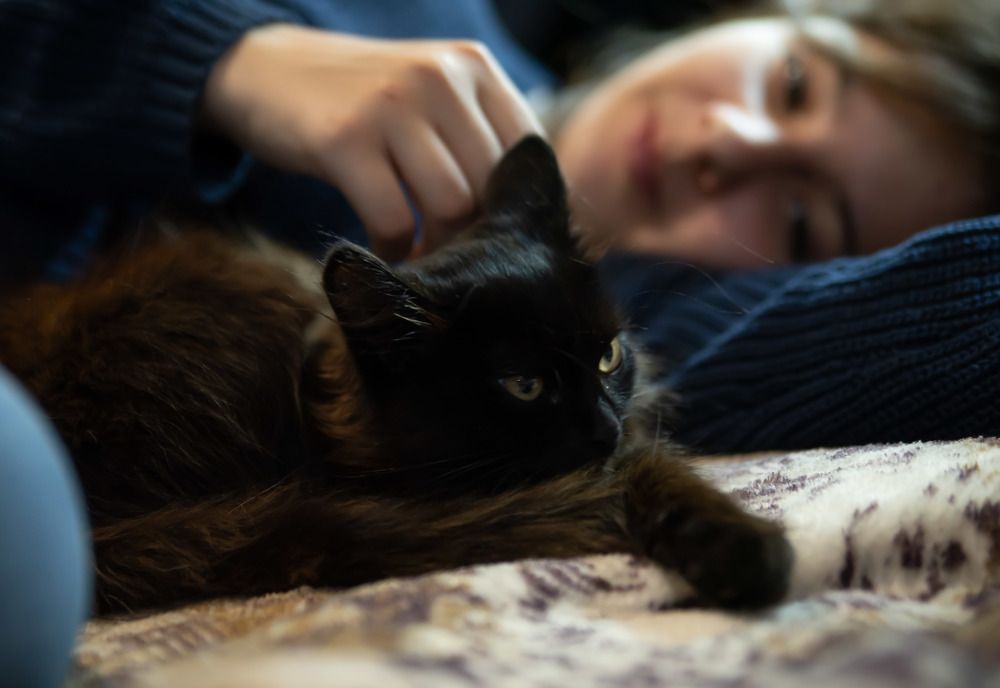 Photograph by Наталья Сорокина