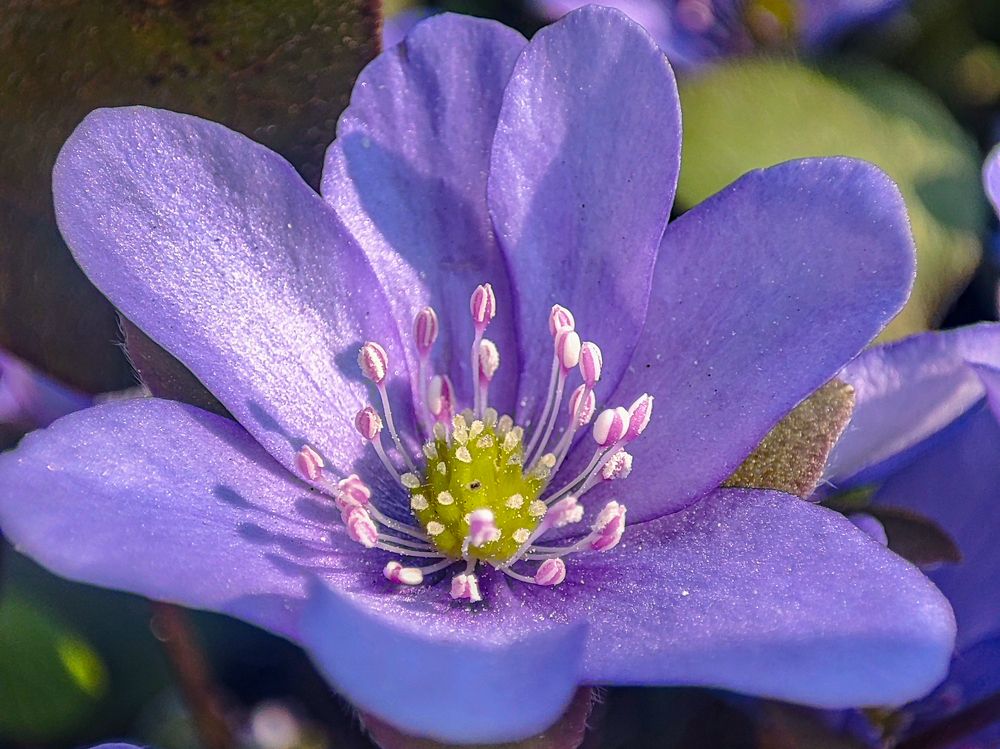 Фотография автора Александр Довганюк