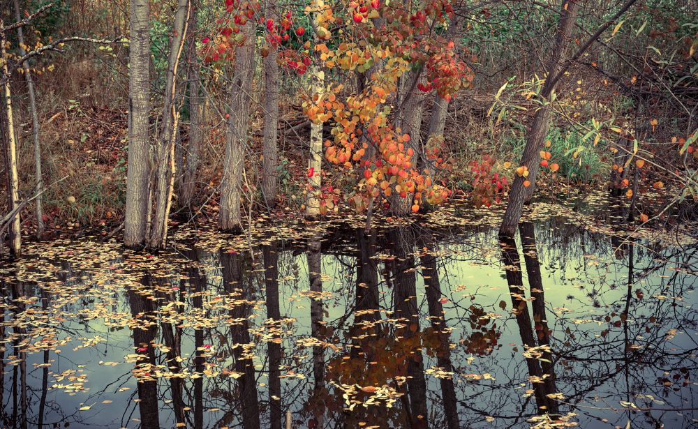 Фотография автора Юрий Баклыков