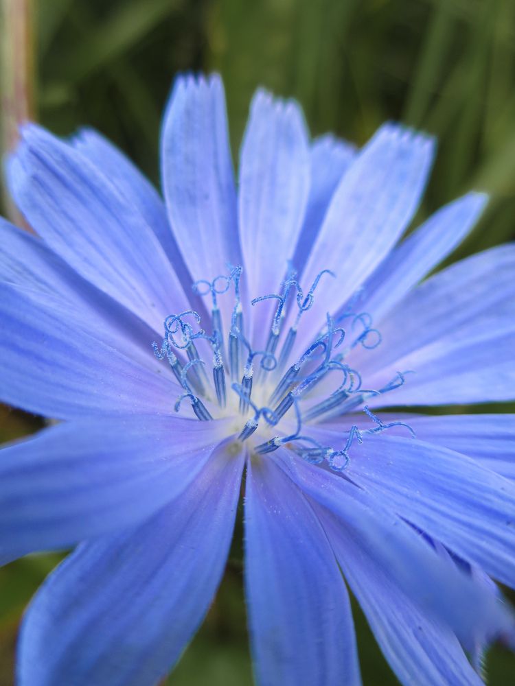 Photograph by Дарья Овсянникова