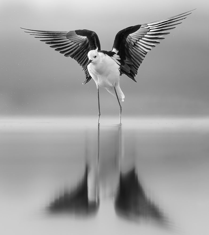 Photograph by Mohidul Islam