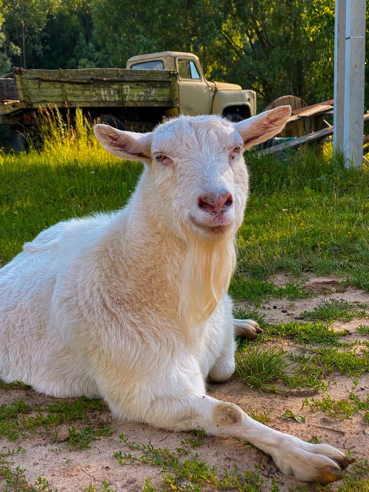 Photograph by Evgenia Privalova