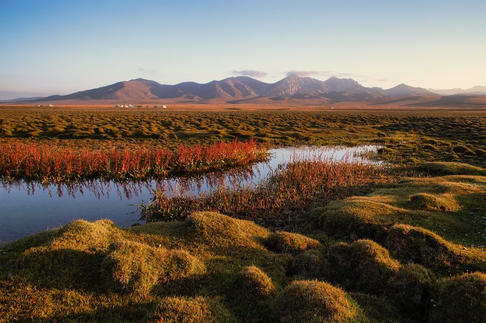 Планета Сон-Куль