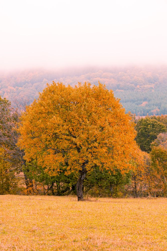 Photograph by Александр Лисикян