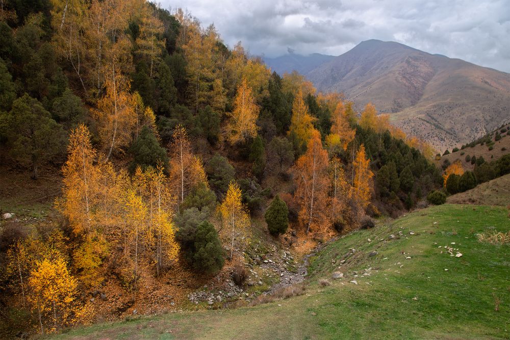 Краски осени