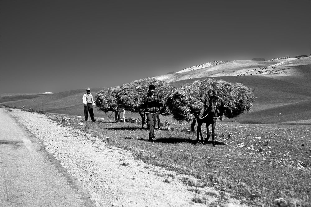 Photograph by Paolo Mola