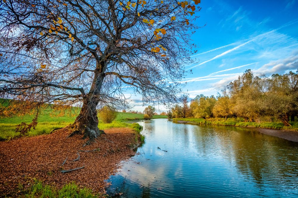 Photograph by Samir Kurtagić