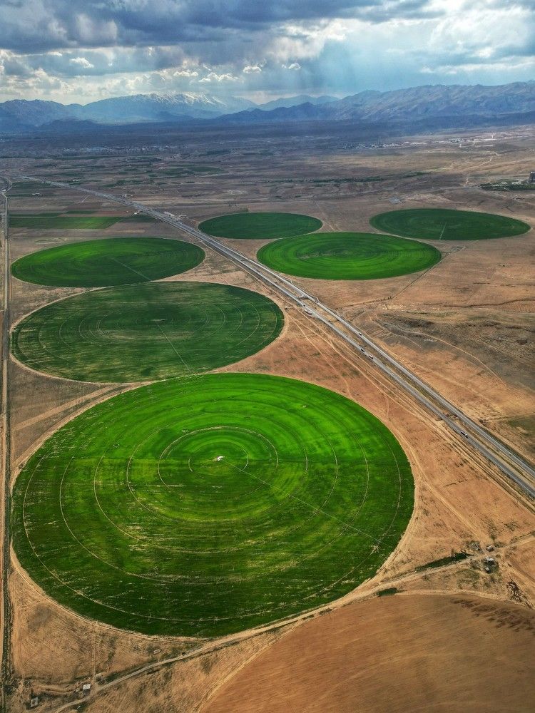 Фотография автора mohammad hossein moheimani