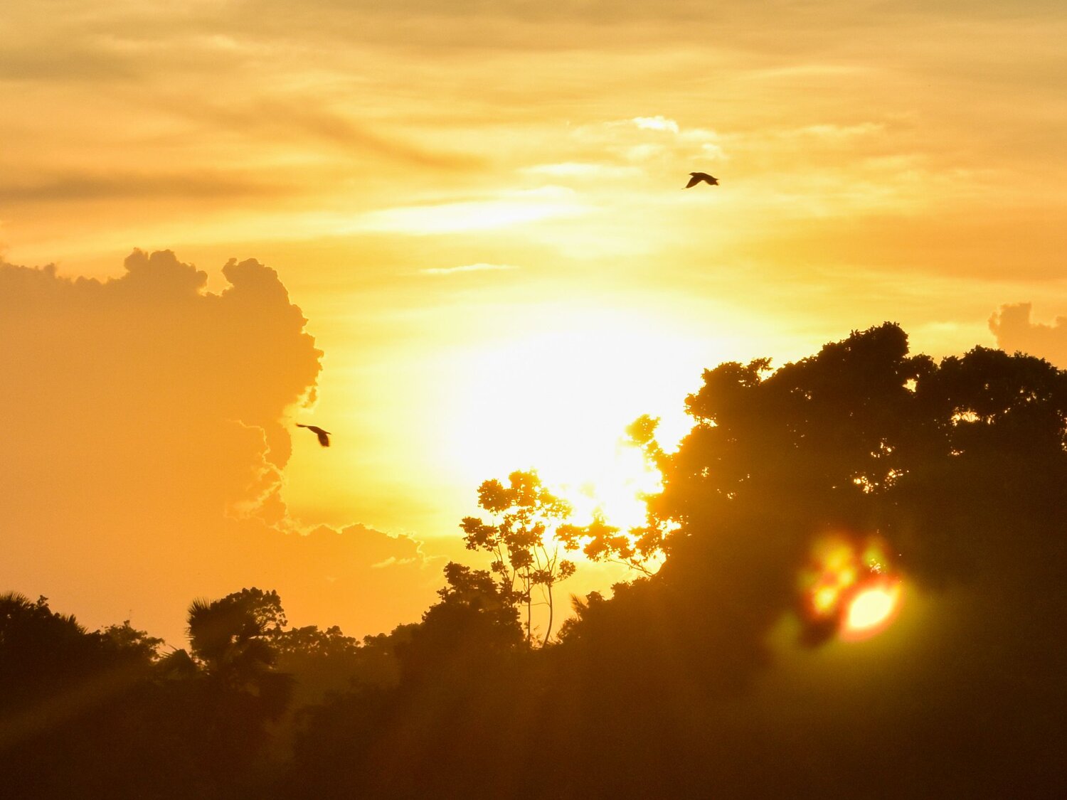 Sunset