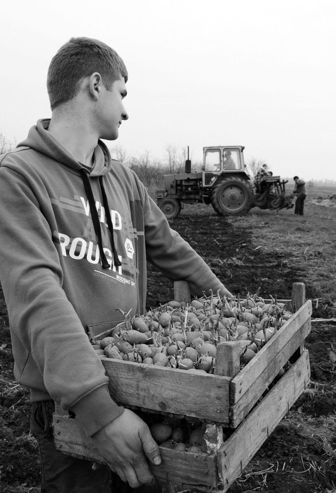 Photograph by София Носкова