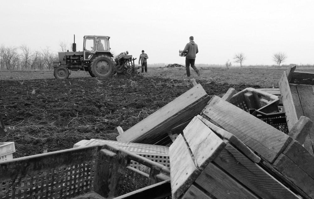 Photograph by София Носкова