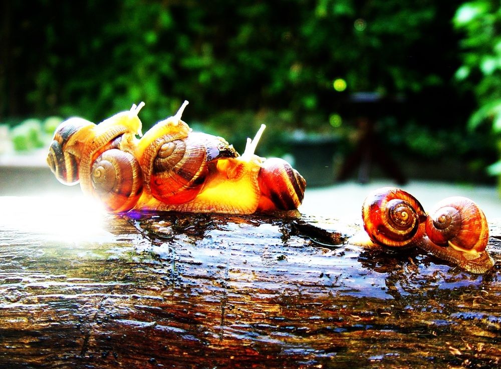 Photograph by Владимир Ким