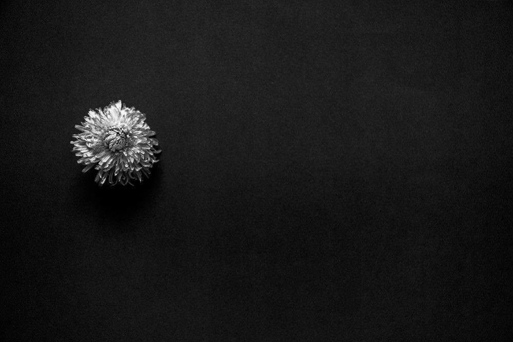 Photograph by Кристина Присакарь